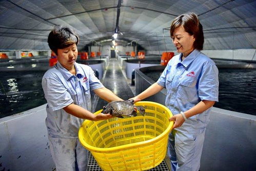涉林下經濟 深遠海養(yǎng)殖等,大食物觀構建多元化供給體系
